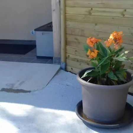 Charmante Maison Pres De Sainte-gemme Avec Jardin Ferienhaus *