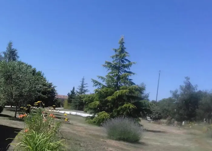 Charmante Maison Pres De Sainte-gemme Avec Jardin