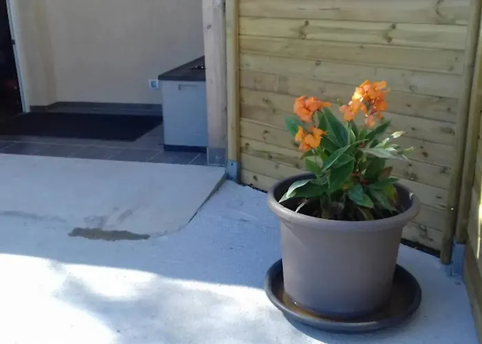 Charmante Maison Pres De Sainte-gemme Avec Jardin بيت للعطل *